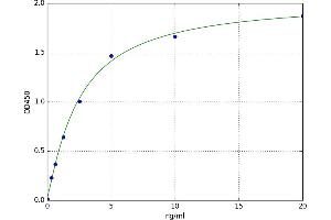 A typical standard curve (GALK1 ELISA Kit)