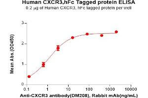 CXCR3 Protein (AA 1-53) (Fc Tag)