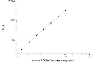 Typical standard curve (STK39 CLIA Kit)