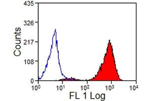 Flow Cytometry (FACS) image for anti-MHC, Class I antibody (ABIN2475584) (MHC, Class I Antikörper)