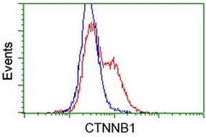 Image no. 3 for anti-Catenin (Cadherin-Associated Protein), beta 1, 88kDa (CTNNB1) antibody (ABIN1496895) (CTNNB1 Antikörper)