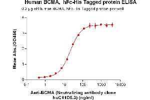 ELISA plate pre-coated by 2 μg/mL (100 μL/well) Human BCMA, hFc-His tagged protein can bind Anti-BCMA (Neutralizing antibody clone  huC11D5. (BCMA Protein (AA 1-54) (Fc-His Tag))