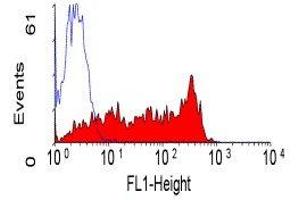 Flow Cytometry (FACS) image for anti-CD45RB (CD45RB) antibody (ABIN2480610) (CD45RB Antikörper)