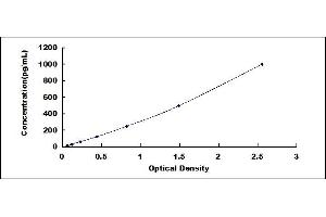 PROC ELISA Kit