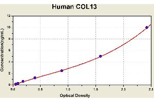 Diagramm of the ELISA kit to detect Human COL13with the optical density on the x-axis and the concentration on the y-axis. (COL-13 ELISA Kit)