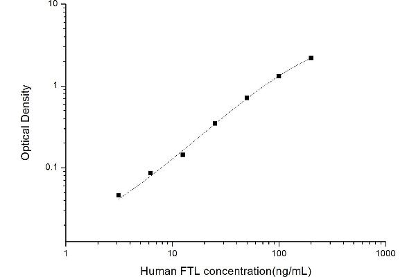 FTL ELISA Kit