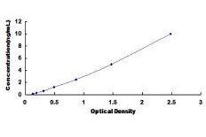 ELISA image for V-Akt Murine Thymoma Viral Oncogene Homolog 1 (AKT1) ELISA Kit (ABIN417947) (AKT1 ELISA Kit)