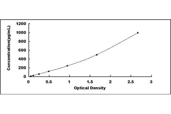 GDF5 ELISA Kit