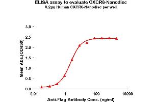 Elisa plates were pre-coated with Flag Tag C-Nanodisc (0. (CXCR6 Protein)