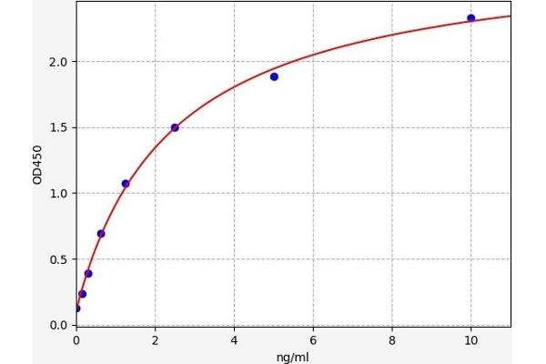 CSNK2B ELISA Kit