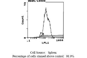 Mouse anti MHC Class I (RT1Ac) OX-27 (MHC Class I (RT1Ac) Antikörper  (Biotin))