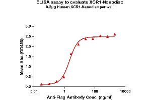 Elisa plates were pre-coated with Flag Tag -Nanodisc (0. (XCR1 Protein)