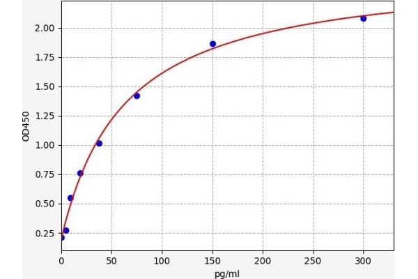 Amphiregulin ELISA Kit