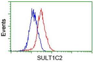 Flow cytometric Analysis of Hela cells, using anti-SULT1C2 antibody (ABIN2454715), (Red), compared to a nonspecific negative control antibody, (Blue). (SULT1C2 Antikörper)