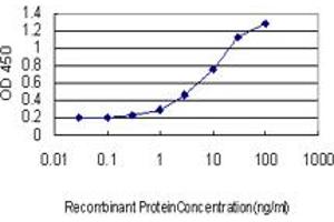 Detection limit for recombinant GST tagged SYNE1 is approximately 0. (SYNE1 Antikörper  (AA 1561-1670))