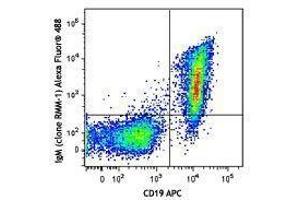 Flow Cytometry (FACS) image for Rat anti-Mouse IgM antibody (Alexa Fluor 488) (ABIN2667223) (Ratte anti-Maus IgM Antikörper (Alexa Fluor 488))