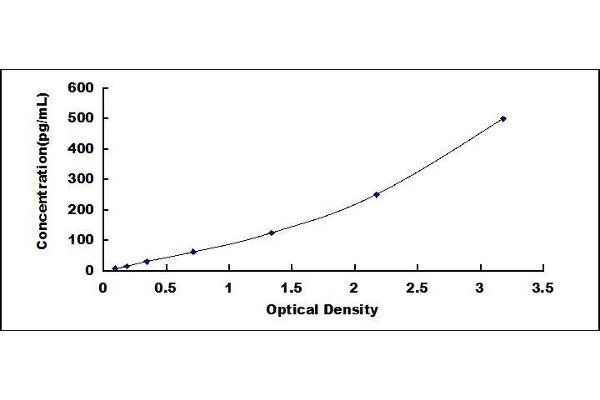 FIL1h ELISA Kit