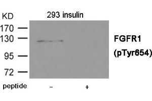 Western blot analysis of extracts from 293 cells treated with insulin using FGFR1 (Phospho-Tyr654) Antibody. (FGFR1 Antikörper  (pTyr654))