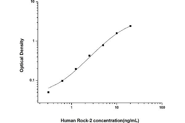 ROCK2 ELISA Kit