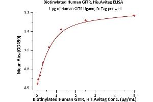 Immobilized Human GITR Ligand, Fc Tag  at 10 μg/mL (100 μL/well) can bind Biotinylated Human GITR, His,Avitag (ABIN6973077) with a linear range of 0. (TNFRSF18 Protein (AA 26-161) (His tag,AVI tag,Biotin))