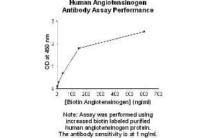 Image no. 1 for anti-Angiotensinogen (serpin Peptidase Inhibitor, Clade A, Member 8) (AGT) antibody (ABIN5567489) (AGT Antikörper)
