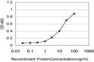 Detection limit for recombinant GST tagged CD34 is approximately 0. (CD34 Antikörper  (AA 32-141))