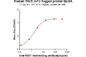 ELISA plate pre-coated by 2 μg/mL (100 μL/well) Human TIGIT, mFc tagged protein (ABIN6961182, ABIN7042393 and ABIN7042394) can bind Anti-TIGIT Neutralizing antibody ABIN6964437 and ABIN7272573 in a linear range of 0. (TIGIT Protein (AA 22-141) (mFc Tag))