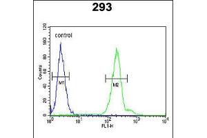 Flow cytometric analysis of 293 cells (right histogram) compared to a negative control cell (left histogram). (CRELD2 Antikörper  (C-Term))
