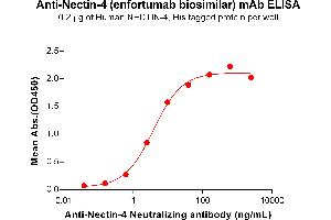 ELISA plate pre-coated by 2 μg/mL (100 μL/well) Human NECTIN-4 Protein, His Tag ABIN6964194, ABIN7042647 and ABIN7042648 can bind Anti-Nectin-4 Neutralizing antibody (ABIN7477991 and ABIN7490922) in a linear range of 0. (Rekombinanter Nectin-4 (Enfortumab Biosimilar) Antikörper)