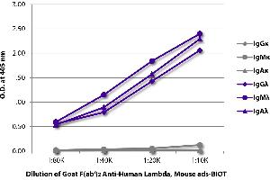 ELISA image for Goat anti-Human lambda (Chain lambda) antibody (Biotin) - Preadsorbed (ABIN375964)