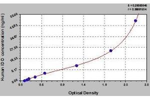 Typical standard curve (IDO1 ELISA Kit)