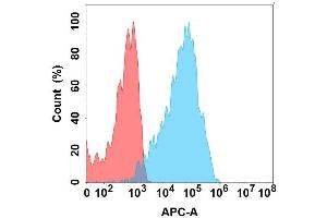 Flow cytometry analysis with Anti-C on Expi293 cells transfected with human C (Blue histogram) or Expi293 transfected with irrelevant protein (Red histogram). (CXCR7 Antikörper)