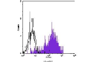 Flow Cytometry (FACS) image for anti-Interleukin 2 Receptor, alpha (IL2RA) antibody (FITC) (ABIN2144546) (CD25 Antikörper  (FITC))