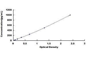 Typical standard curve (IL12A ELISA Kit)