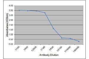 ELISA image for anti-Luteinizing Hormone (LH) antibody (ABIN2475368) (Luteinizing Hormone Antikörper)