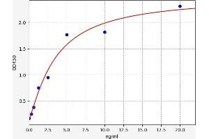 Typical standard curve (Hexokinase 2 ELISA Kit)