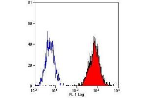 Flow Cytometry (FACS) image for anti-HLA Class I B7 Alpha (HLA B7) antibody (PE) (ABIN2474060) (HLA B7 Antikörper  (PE))