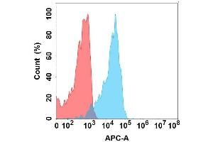 Flow cytometry analysis with Anti-SL on Expi293 cells transfected with human SL (Blue histogram) or Expi293 transfected with irrelevant protein (Red histogram). (SLAMF1 Antikörper)