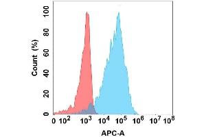 Flow cytometry analysis with Anti-CD5L on Expi293 cells transfected with human CD5L (Blue histogram) or Expi293 transfected with irrelevant protein (Red histogram). (CD5L Antikörper)