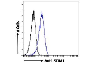 ABIN5539591 Flow cytometric analysis of paraformaldehyde fixed A431 cells (blue line), permeabilized with 0. (STIM1 Antikörper  (Internal Region))