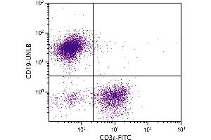 BALB/c mouse splenocytes were stained with Rat Anti-Mouse CD19-UNLB. (CD19 Antikörper)