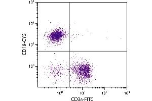 BALB/c mouse splenocytes were stained with Rat Anti-Mouse CD19-CY5. (CD19 Antikörper  (Cy5))