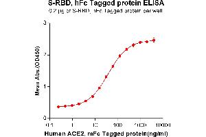 ELISA plate pre-coated by 2 μg/mL (100 μL/well) S-RBD, hFc tagged protein ABIN6961170, ABIN7042369 and ABIN7042370 can bind Human , mFc Tagged protein (ABIN6961130, ABIN7042289 and ABIN7042290) in a linear range of 0. (ACE2 Protein (AA 18-740) (mFc Tag))