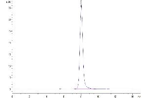 Size-exclusion chromatography-High Pressure Liquid Chromatography (SEC-HPLC) image for Colony Stimulating Factor 2 Receptor, Alpha, Low-Affinity (Granulocyte-Macrophage) (CSF2RA) (AA 23-320) protein (His tag) (ABIN7274781)