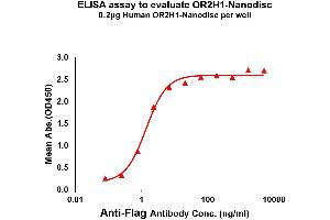 Elisa plates were pre-coated with Flag Tag OR2H1-Nanodisc (0. (OR2H1 Protein)