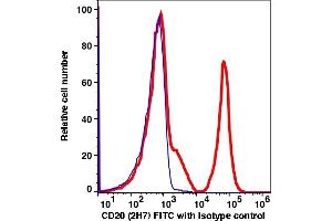 Flow Cytometry (FACS) image for anti-Membrane-Spanning 4-Domains, Subfamily A, Member 1 (MS4A1) antibody (FITC) (ABIN2704213) (CD20 Antikörper  (FITC))