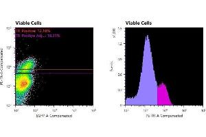 Flowcytometry of huSSECTM cell line overexpressing hFcRn-EGFP labeled with clone DVN24 primary Ab and Texas Red™ conjugated anti-mouse secondary. (FcRn Antikörper)