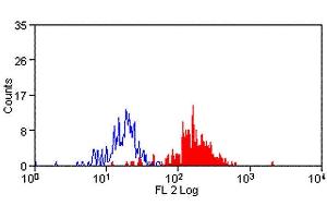 Flow Cytometry (FACS) image for anti-Signal-Regulatory Protein alpha (SIRPA) antibody (ABIN2478785) (SIRPA Antikörper)