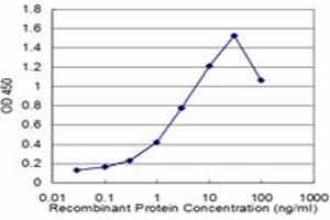 Detection limit for recombinant GST tagged ZBTB16 is approximately 0. (ZBTB16 Antikörper  (AA 381-480))