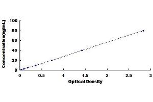 Typical Standard Curve (Granulin ELISA Kit)